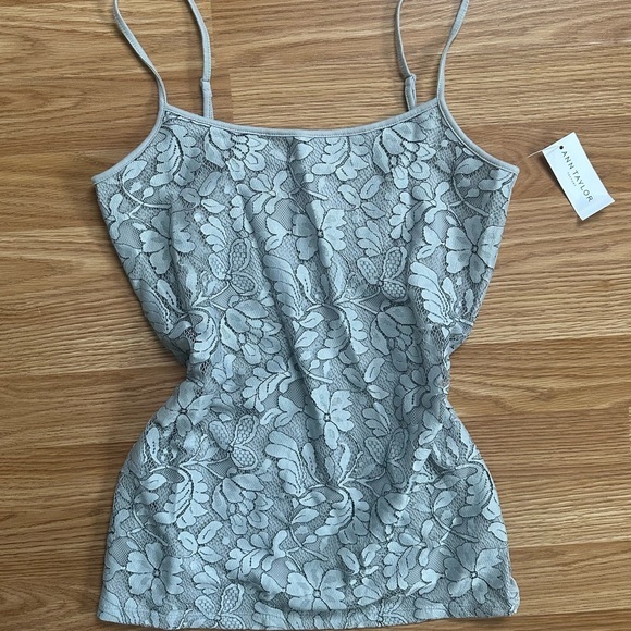 Ann Taylor Factory Tops - NWT Ann Taylor Light Blue Gray Floral Romantic Coquette Lace Top Women’s Sm
